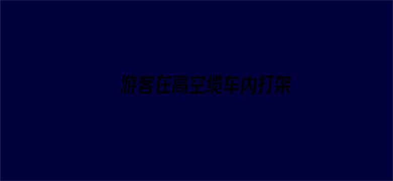 游客在高空缆车内打架 全车人惊呼